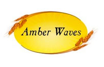 Amber Waves Floral's Logo