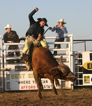 Bull Riding 